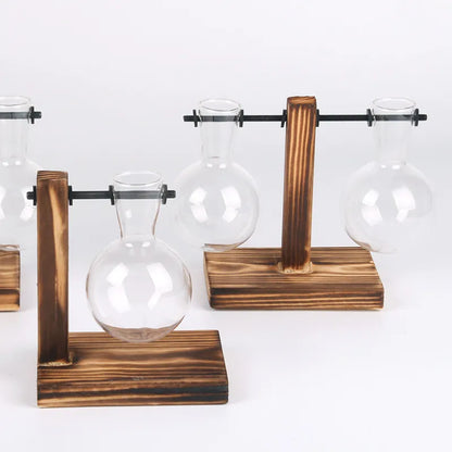 Terrarium Hydroponic Plant Vases