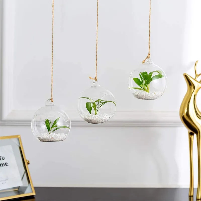 Hanging Terrarium Globe Vase