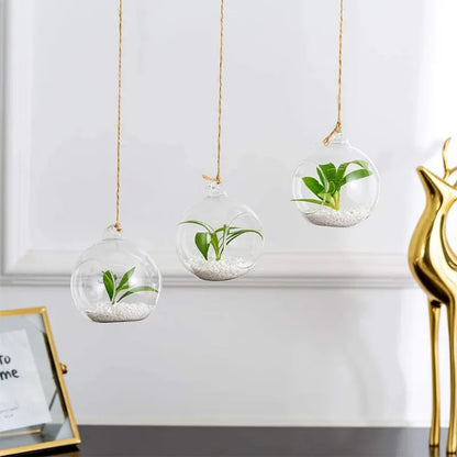 Hanging Terrarium Globe Vase