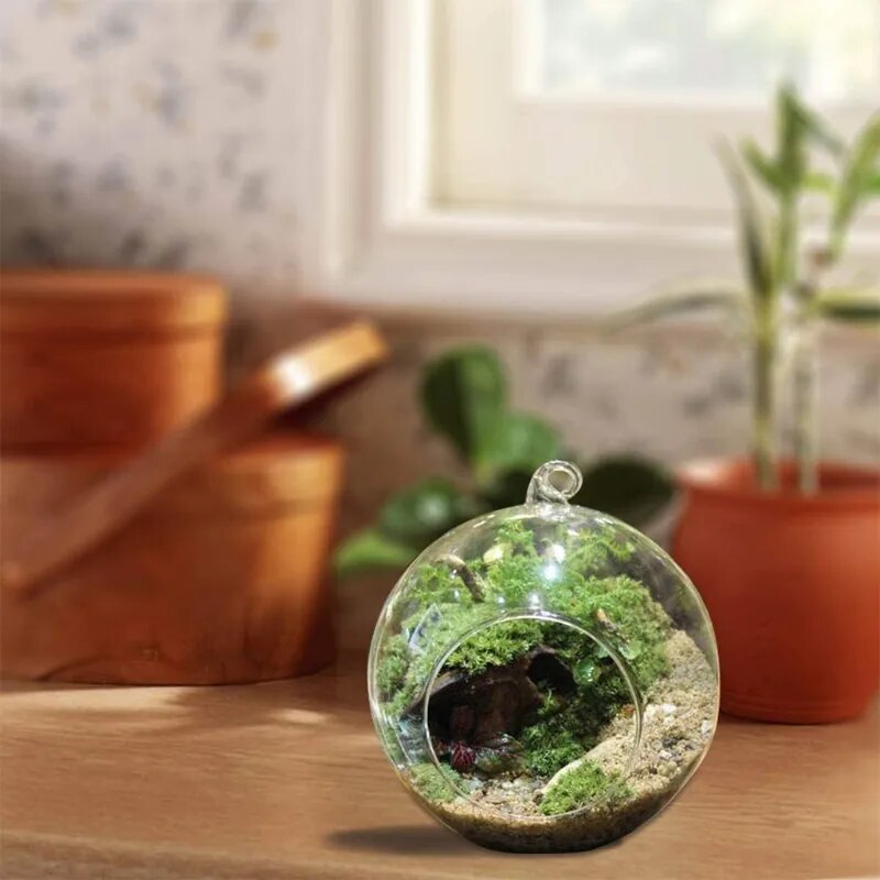 Hanging Terrarium Globe Vase